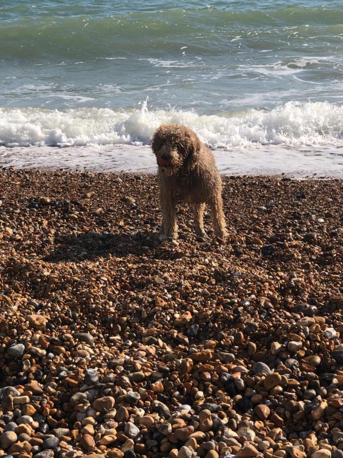 Poets Rest, Free Parking, Ev Socket Fees Apply Walk To Beach Brighton Eksteriør bilde